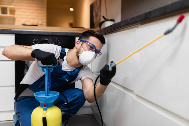 Best Residential Pest Control  in Manchester, MO