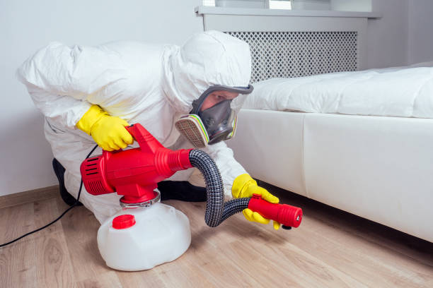 Best Best Pest Control Companies  in Manchester, MO