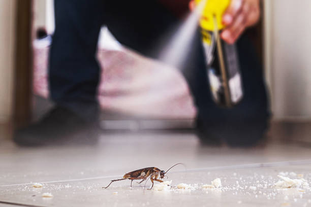 Best Commercial Pest Control Services  in Manchester, MO